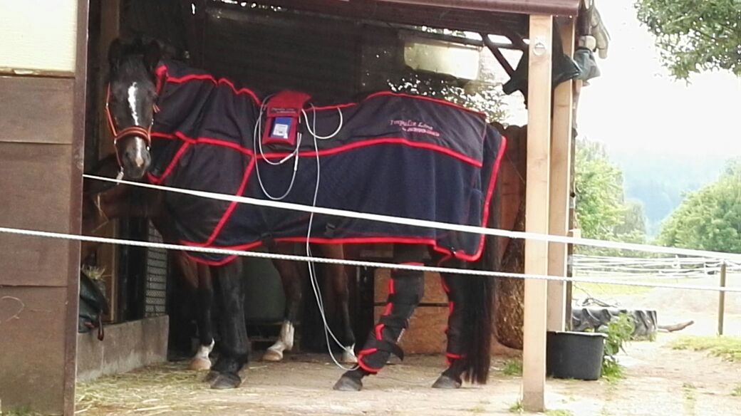 Die Behandlung wird genossen