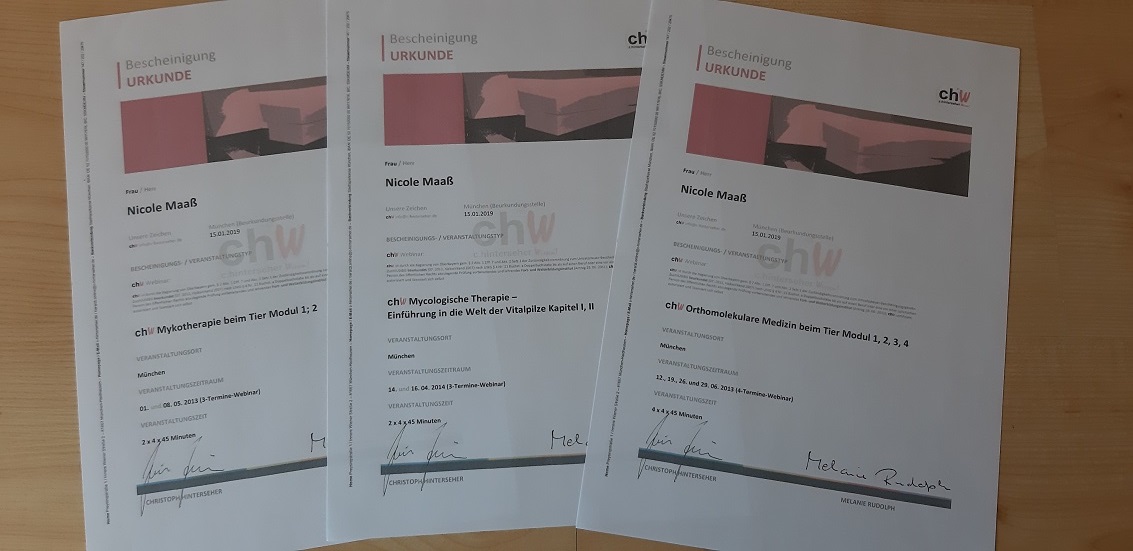 Mykotherapie und Orthomolekulare Medizin