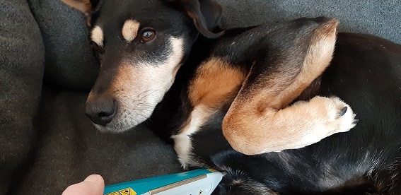 Laserakupunktur wird genossen