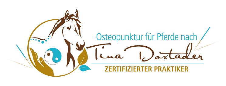 Zertifikat Osteopunktur